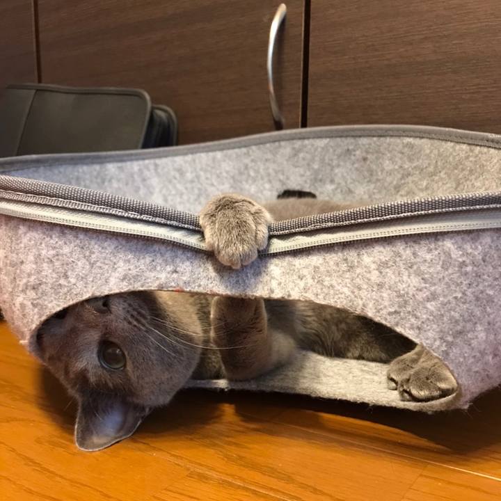 77ebe938 4077 4596 8875 953bdbabc5c9 1593478145458