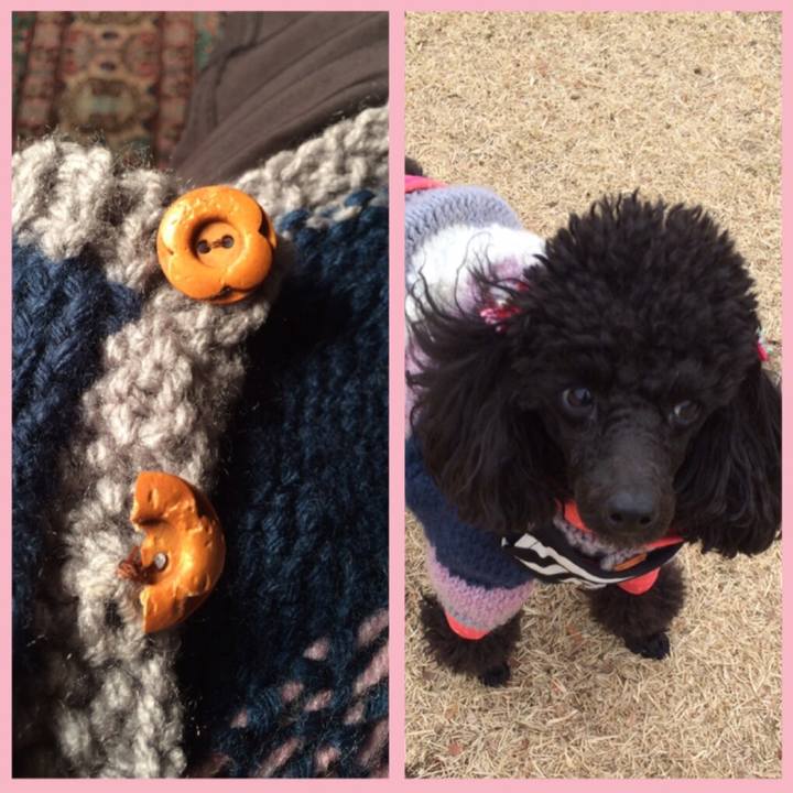 77ebfd01 7bcf 4794 9d66 c6438ffd5ee8 1550413039214