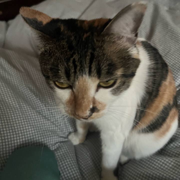 77ec2613 15fe 4a2a b9d5 502e27377424 1760076963431