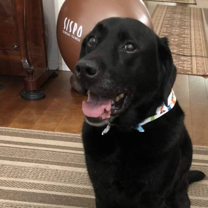 77ec26b9 498d 41f5 a14a 1c80cb4c7973 1707472417542