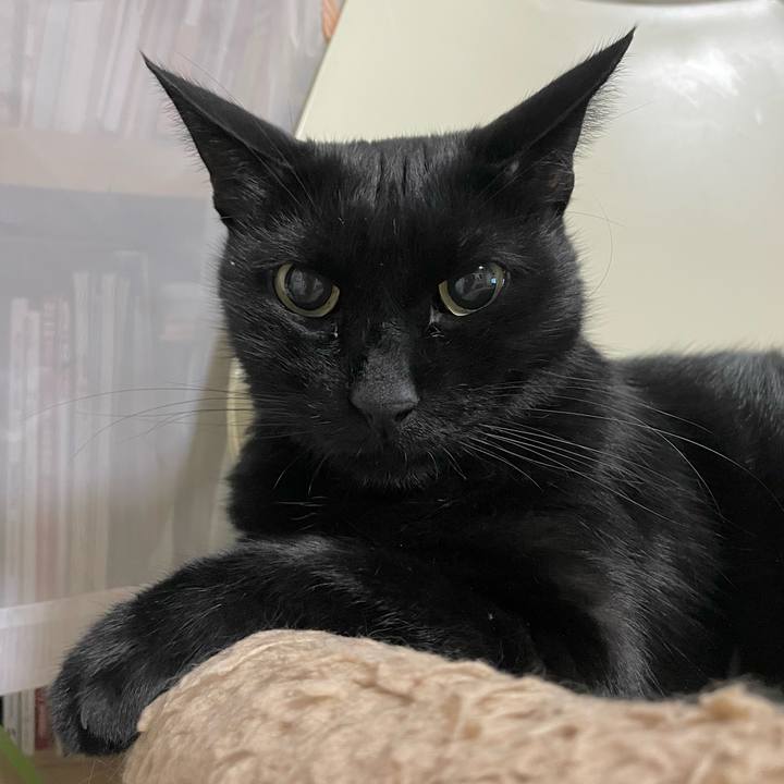 77ec3672 5baf 4b7f 8b40 ca7a6cf3f810 1729945773309