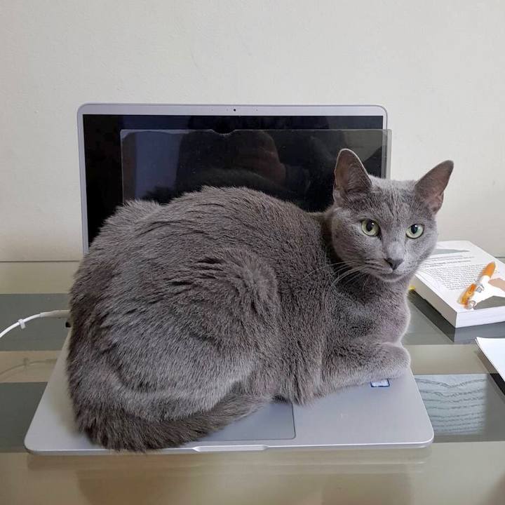 77ec407e 4ae0 410a 9da9 649ced83c5c1 1602121669504