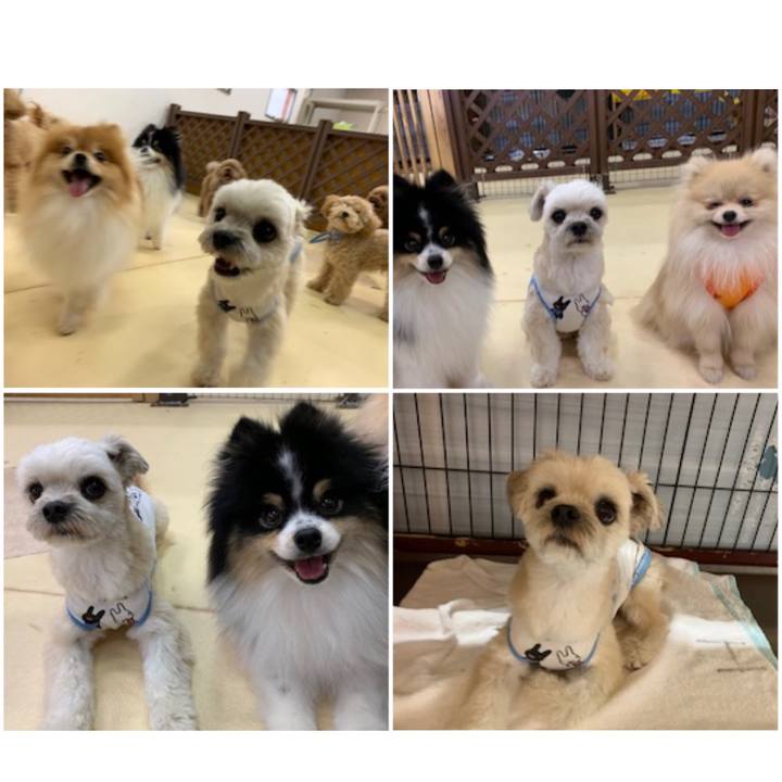 77ec6d28 5423 428d 82fe 7fdf9feecb27 1561097465852