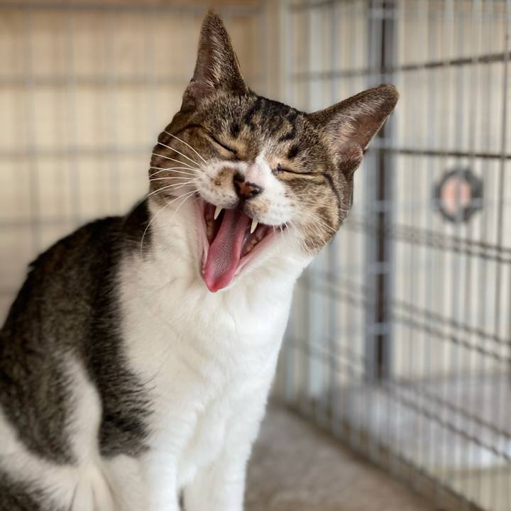 77eca11d 0436 44a7 baea 88214c6c04ad 1606094666092