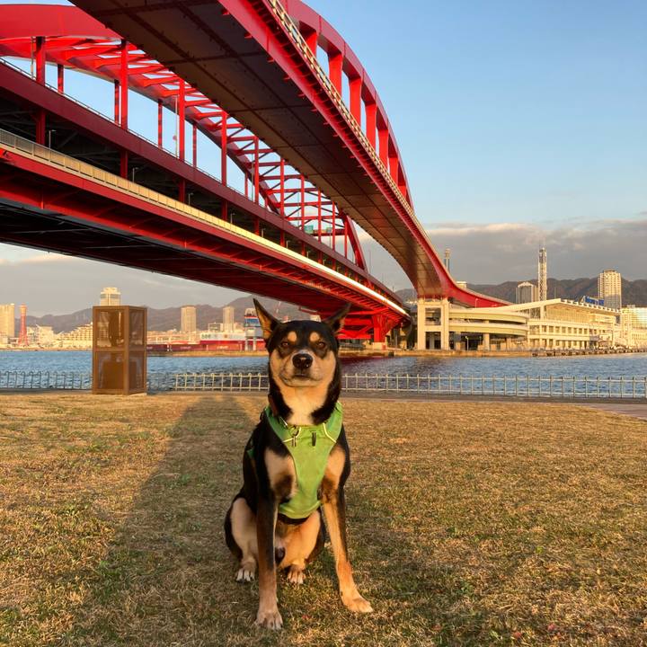 77ece8ec cc0a 4d63 8249 7b74761270c5 1607822833361