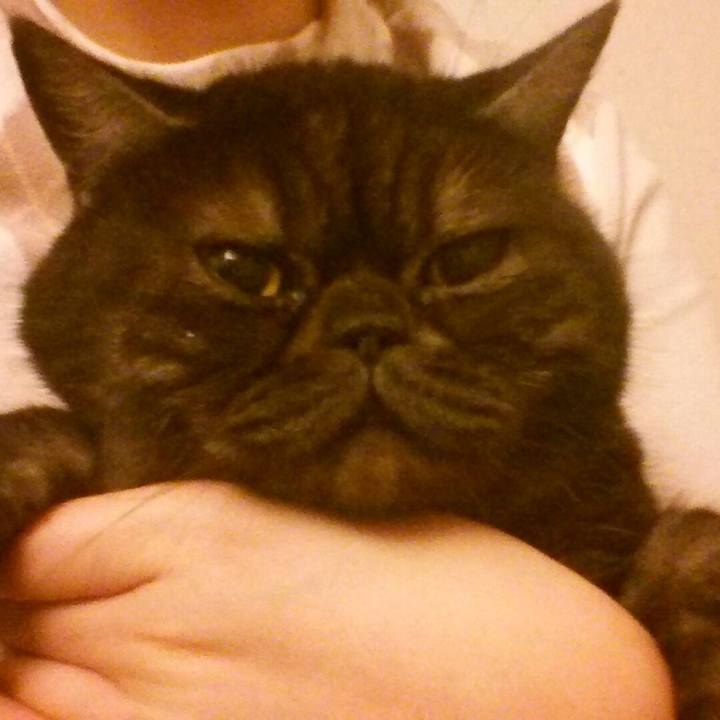 77ed40c4 8911 42d5 9c91 b72ead31f314 1517144200209