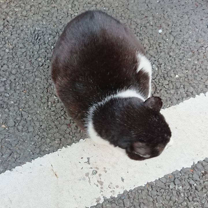 77ed67d9 bb28 4217 9533 e1ed4f5fde28 1640058734523