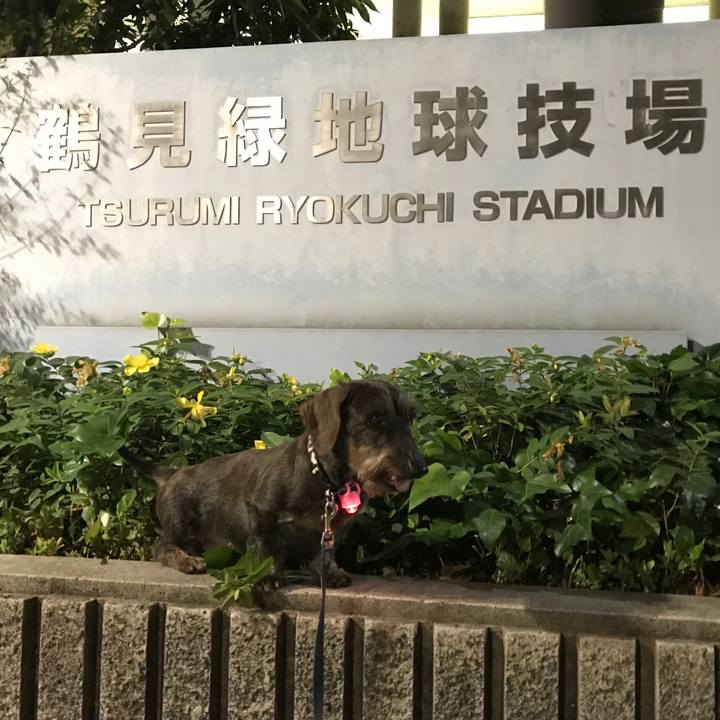 77ed6c02 dbb5 4da2 8a78 a7a55ff8b1fc 1528035737454