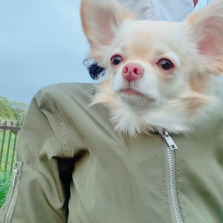 77edacd3 aeaf 4d0d 8986 59a27f27b479 1617964987984