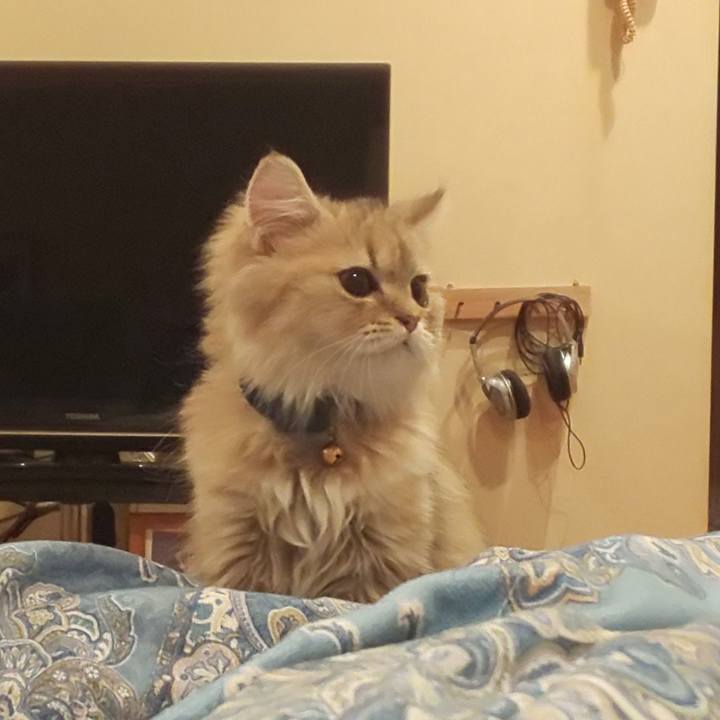 77edb6d8 768e 4f79 aad4 8fb0af02abf1 1558602620802