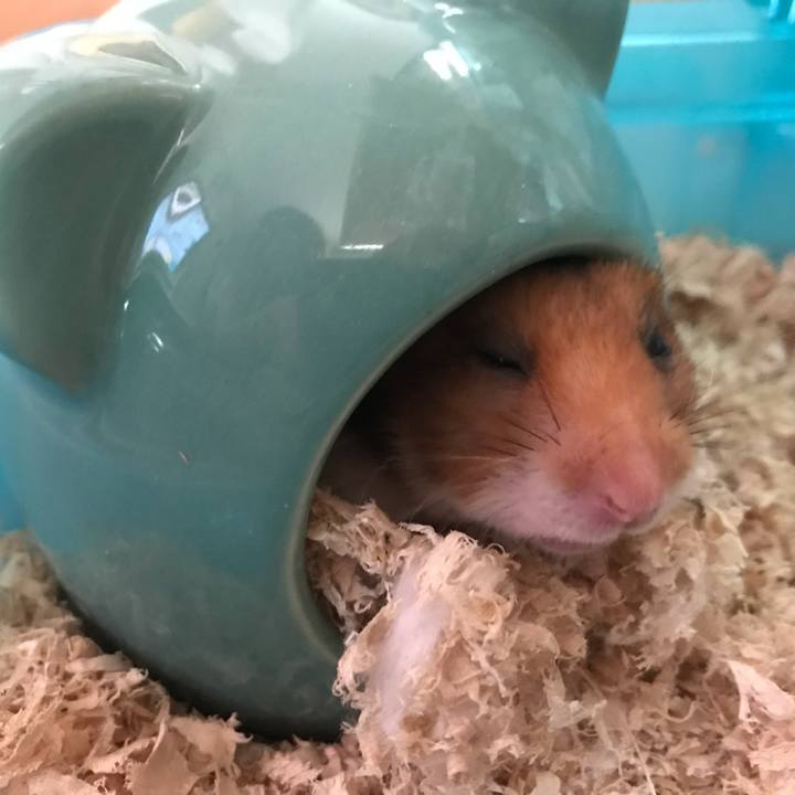 77eddda0 69cb 4fd8 86d3 2f2b34bcaafb 1621231920865