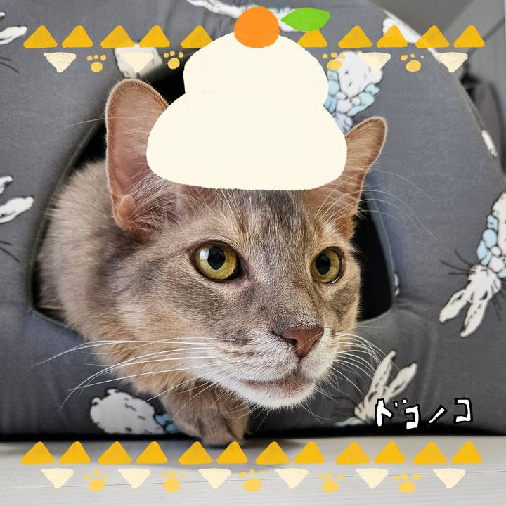 77edeec3 d809 4ffb 98ec 1dfcf33f23ec 1704156730153