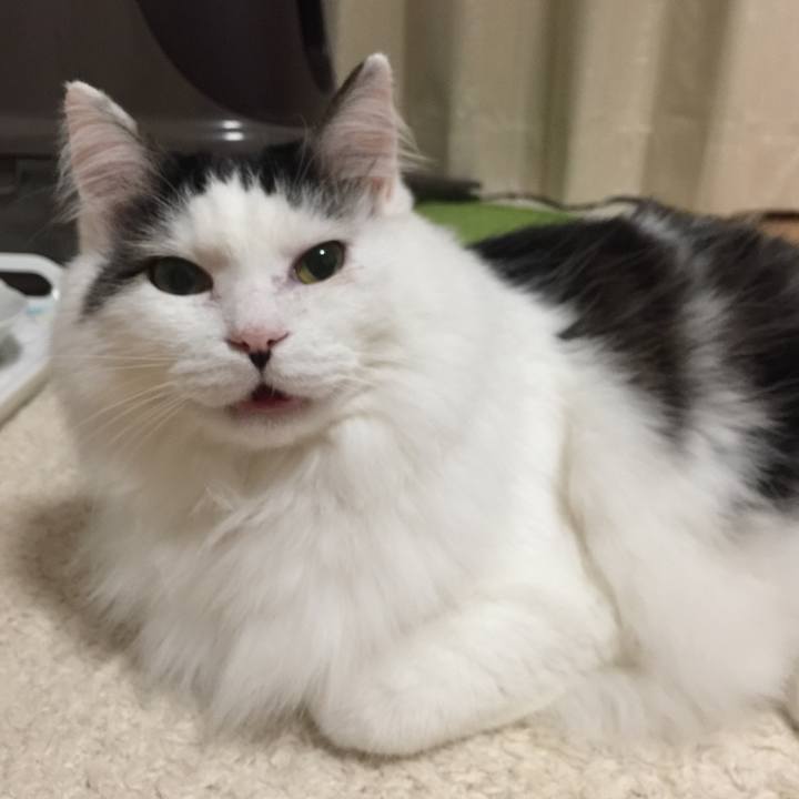 77edf79d a187 4601 907e c562bb8ac0ce 1509975732676