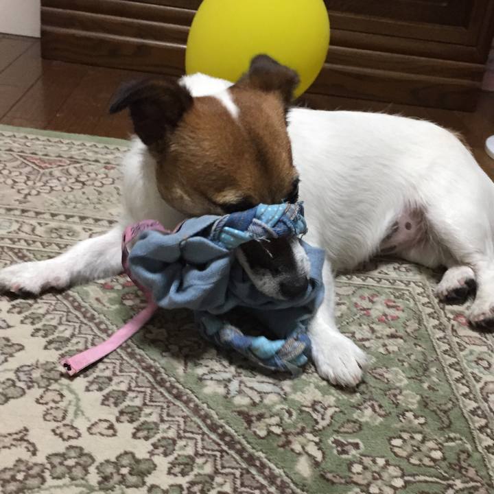 77ee06d5 78ab 4b10 9c58 87be0ca842b9 1529675185023