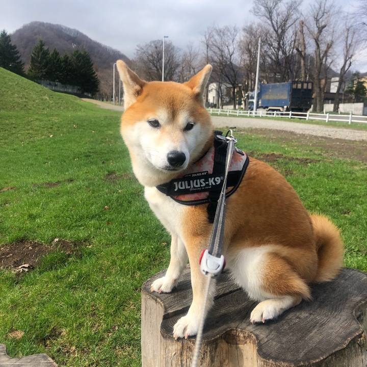 77ee079d e20a 4887 8422 4e0dbc9c6df3 1555641098374