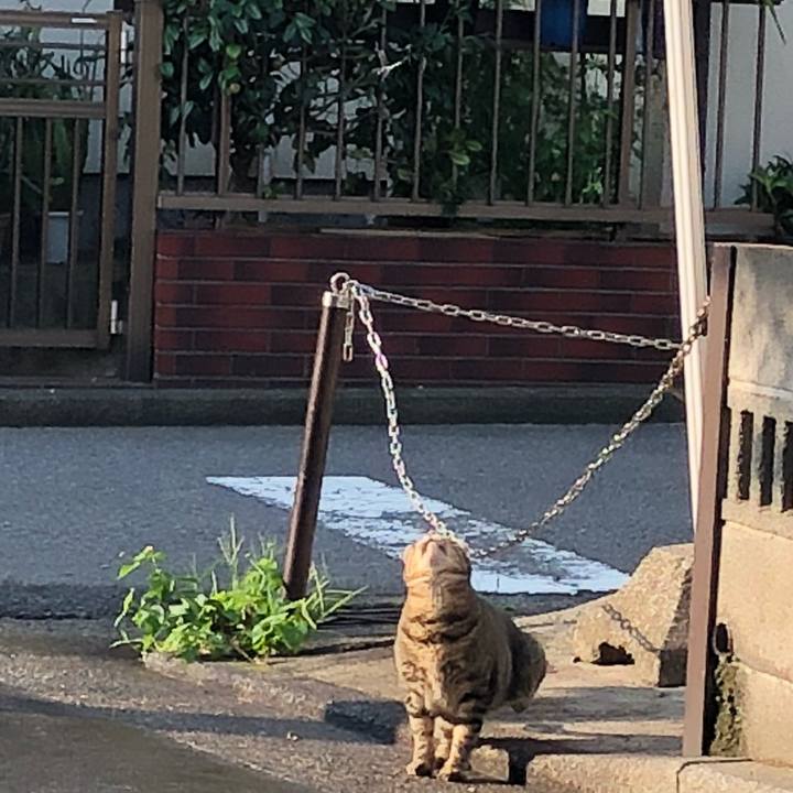 77ee1930 619b 4c5f 8557 8322d2fed305 1535603195613