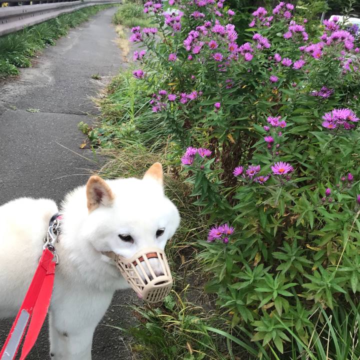 77ee622b 7791 4d21 9e17 a67df2169367 1539385886576