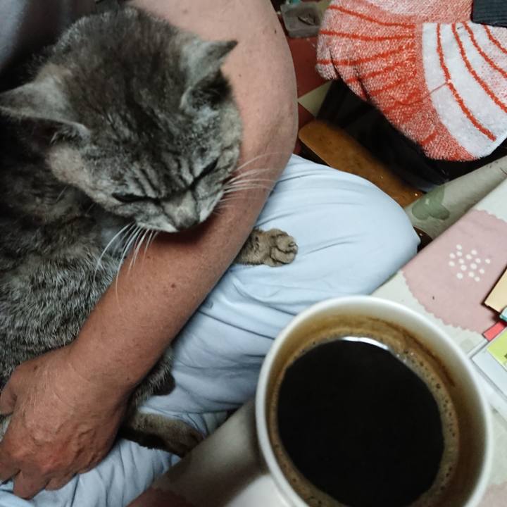 77ee918d 9d6e 4b11 b68e c768f0a48ac3 1593891744184