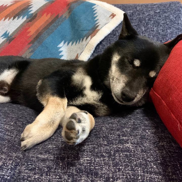 77ee9d63 9349 49a7 b457 311e61424ea1 1604930068456