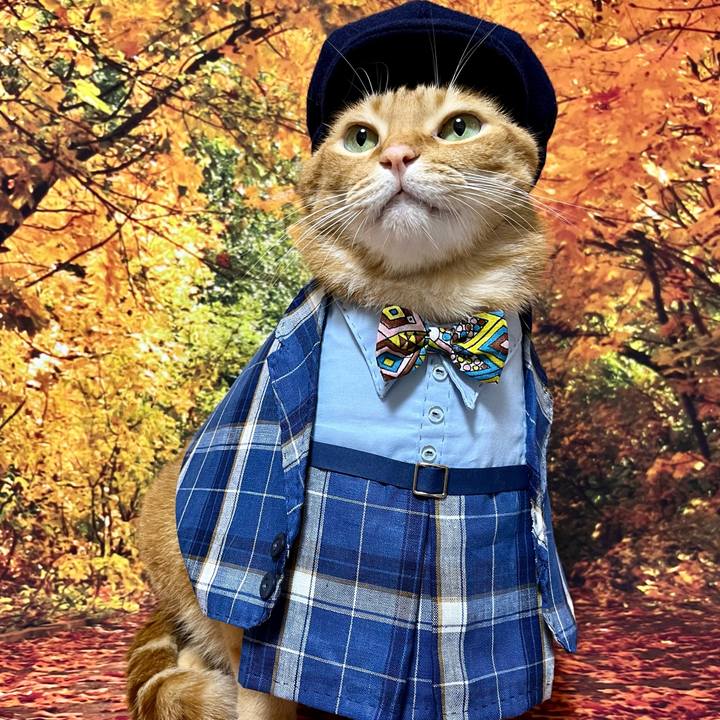 77eea1df 03d8 4cbf bf43 2c5083a330c3 1694345283159