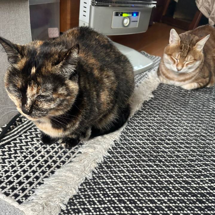 77eeba78 6103 488a 8225 ecf32fc54508 1764285613761