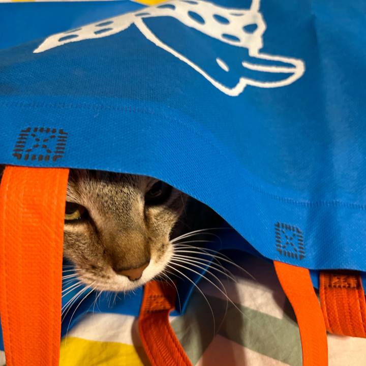 77eed943 269a 4c7b 99f2 b661b0e377ff 1683455354732