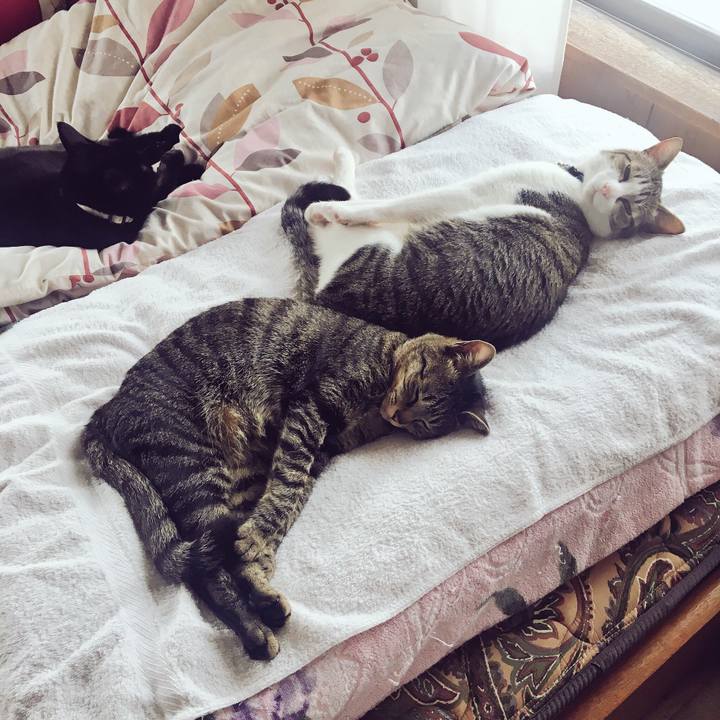 77eee8e9 a5c7 4705 afc9 b8ee36d8bcf3 1524460814800