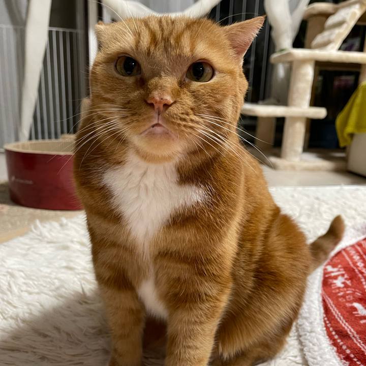 77ef0ff9 7992 4e21 8abb 1887b53ca989 1667825973137