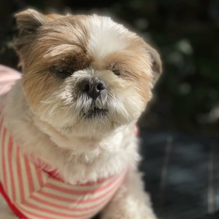 77ef1892 d127 4b8f ac4f 9aadc70513b4 1636601764008