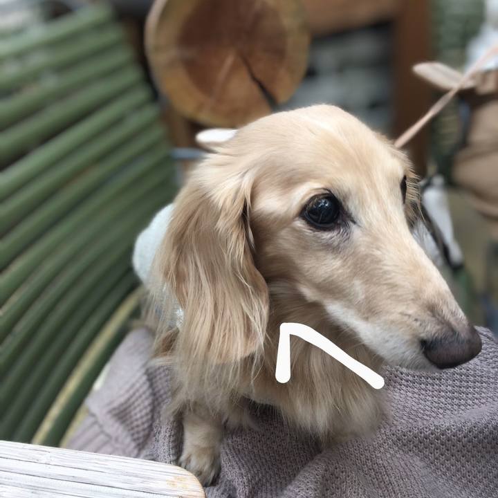 77ef5f0e f32d 4093 a419 68da673214be 1687260480829