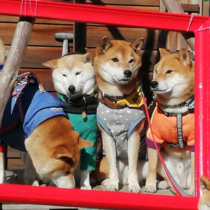 77ef90fa ed9c 4587 8d60 440fb387303f 1638104836289