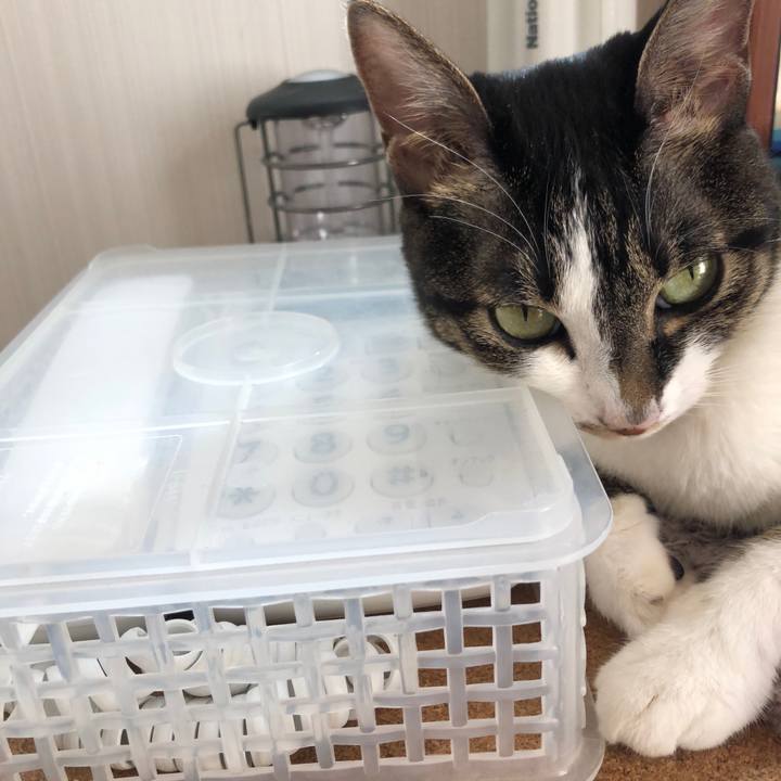 77ef9cdc 35b6 4630 82e2 f9cbed8d5b52 1601741096406