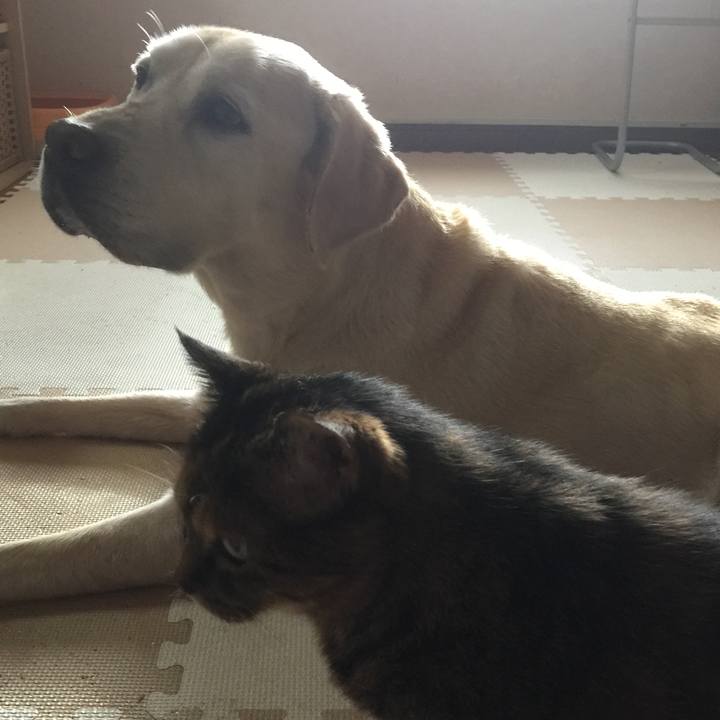 77ef9da9 05b3 433a 941a 8c44a180064f 1555810467593