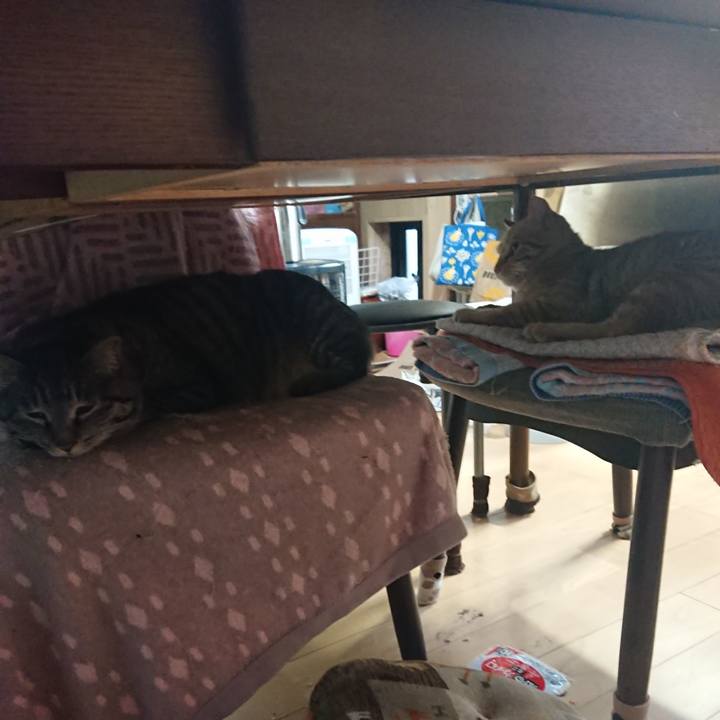 77efc739 2f6a 4718 a488 6c0f0a55dad8 1649109490626