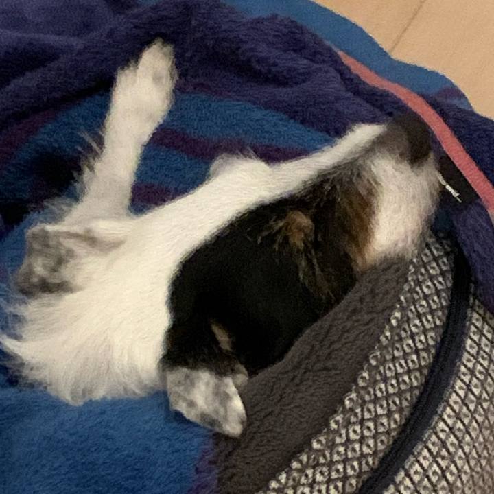 77efc931 788e 440e 9d36 b52c5e181635 1711803386745