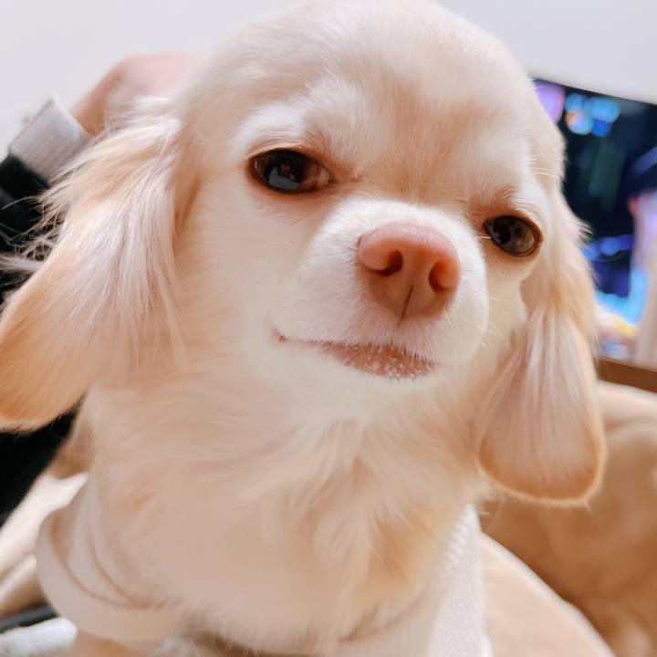 77efcd29 ed3e 401c b0a4 2b8a851b4732 1675287960064