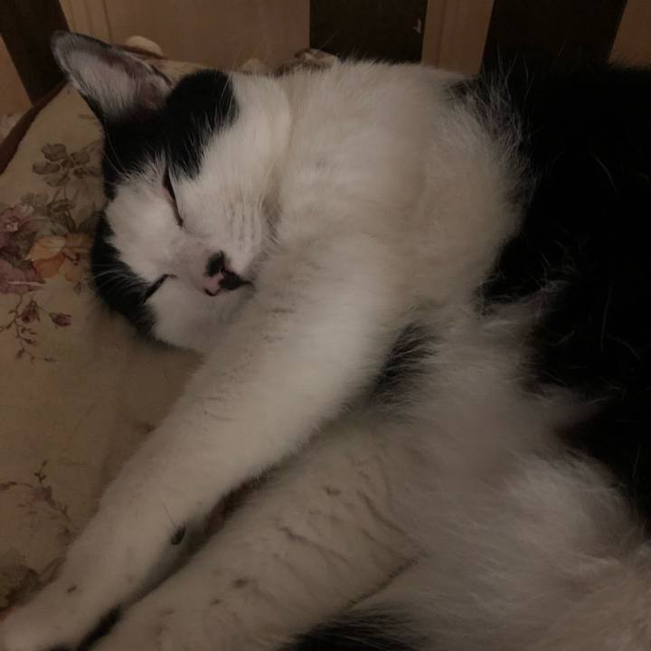 77efcec5 ab50 47cc 9993 c32afcf85857 1563903234656