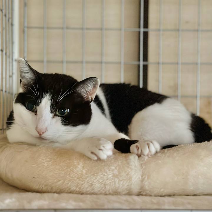 77f02591 299f 469e 8b3c 88856a94295d 1686278159651