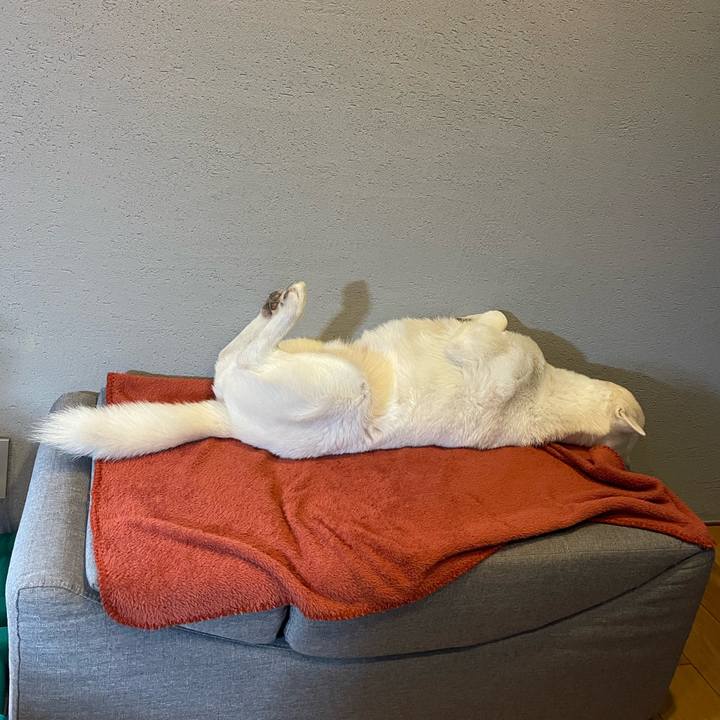 77f04c48 65a7 463b ba52 59b210f013c0 1642586537053