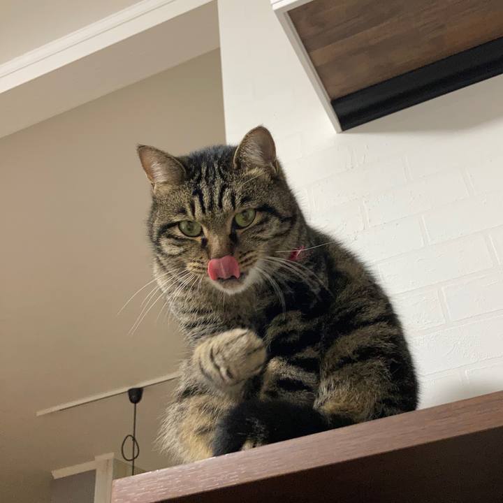 77f06e06 2553 4925 98d1 f81f3587a4e9 1607850667619