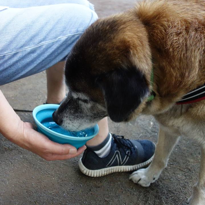 77f06e57 7b26 4db6 97ec 62dd583aabe7 1564789196046