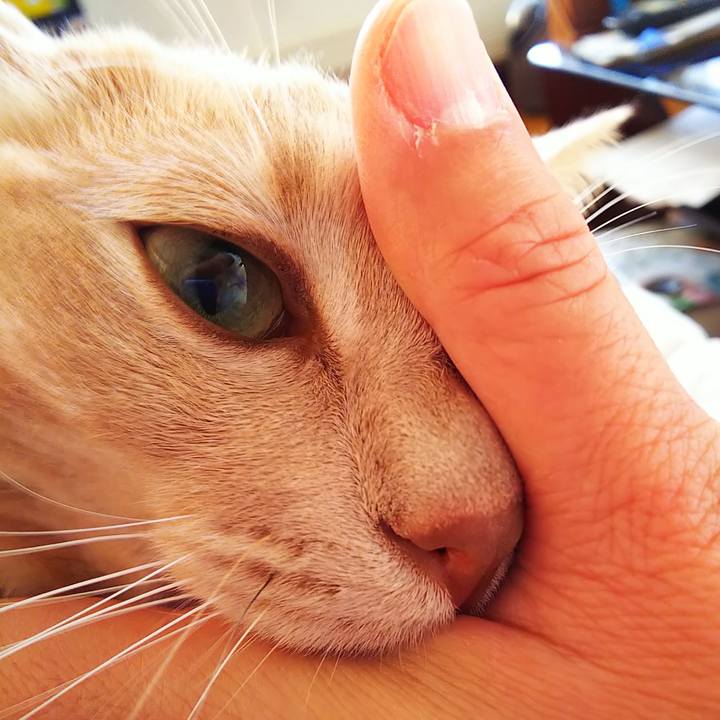 77f080b7 91db 4b49 88b0 932844a54b96 1603231981529