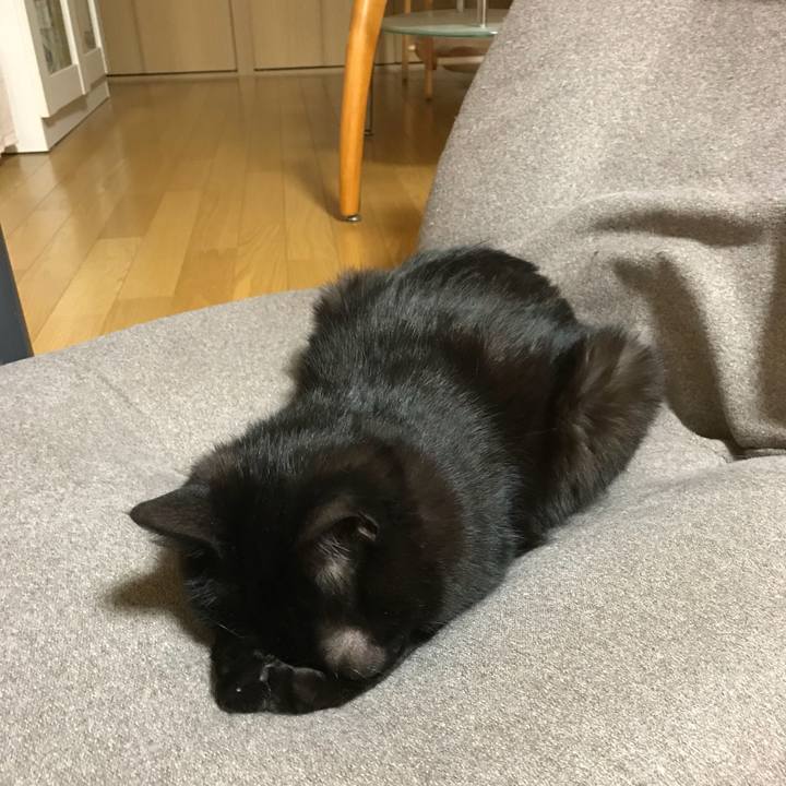 77f0b816 ade8 496a 9b23 1c0c39e991a6 1527333738322