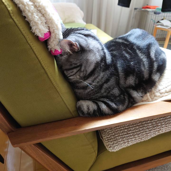 77f0c1c6 c6fa 4941 afae 6fb40ab6b630 1625146978634