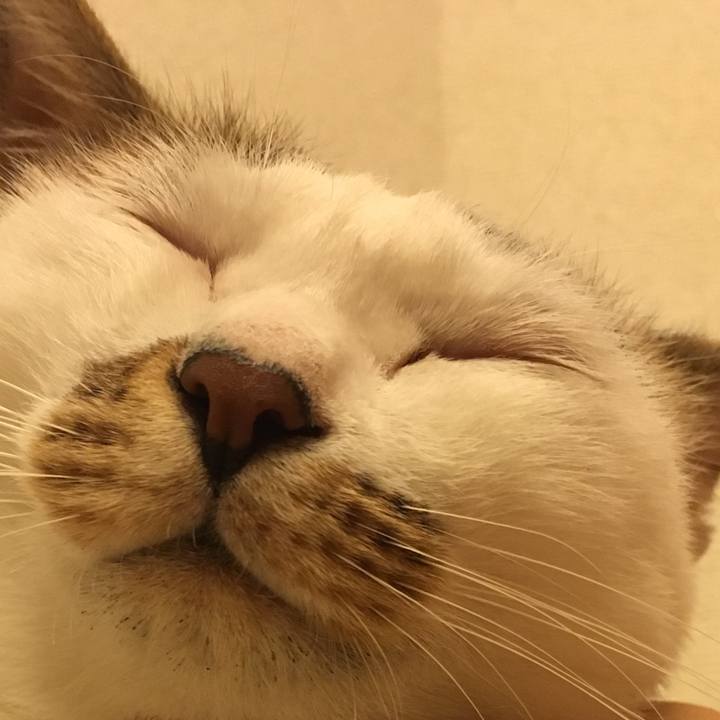 77f0d29c b937 43d5 8b91 68fa9de6602f 1535995563999