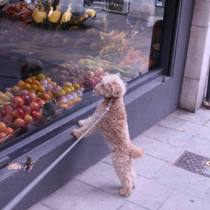 77f0d303 d87a 498c 9442 65f8d5f0678e 1507988277839