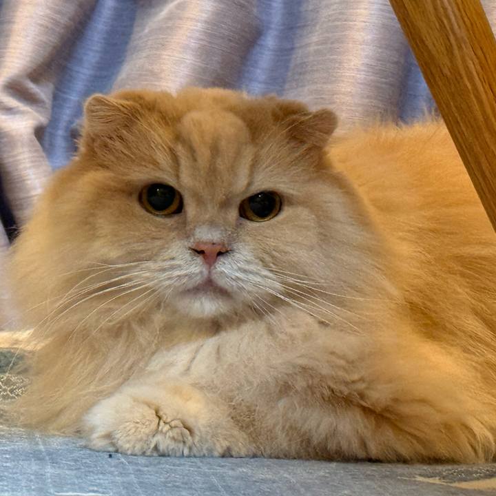 77f0f5a4 8541 4cd7 bb28 776317cfe1be 1769527857365