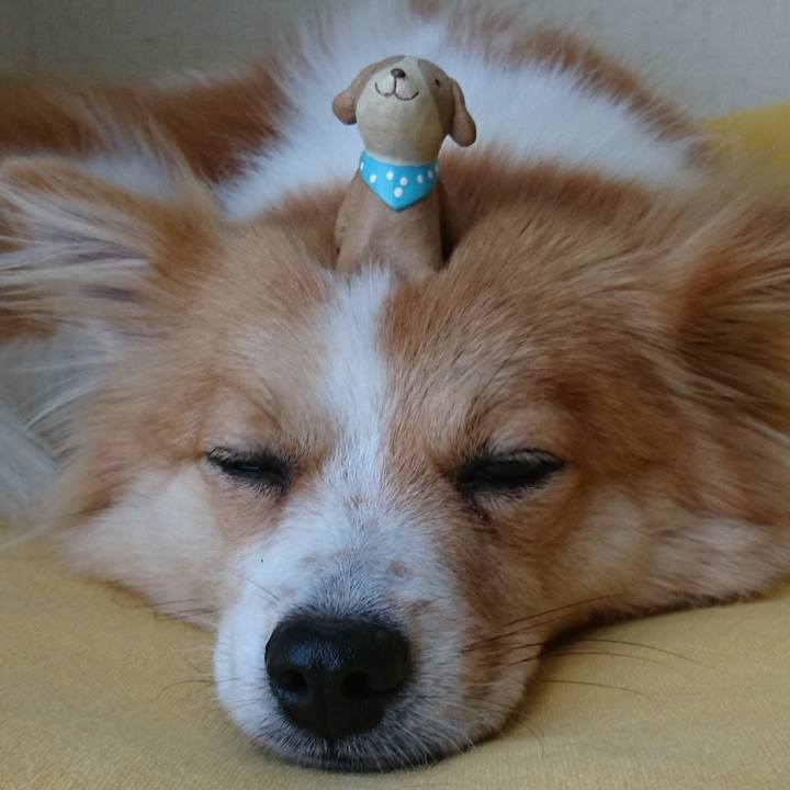 77f10b7e d4a1 4ec6 8f15 b6187e1c6bf7 1569417026658