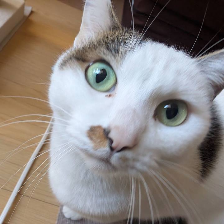 77f18efd 76bd 4b60 a6e9 c9110bb63ba6 1762840783450