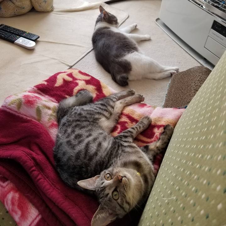 77f1e184 6f86 4972 a2c1 390b7fd333eb 1675584007566